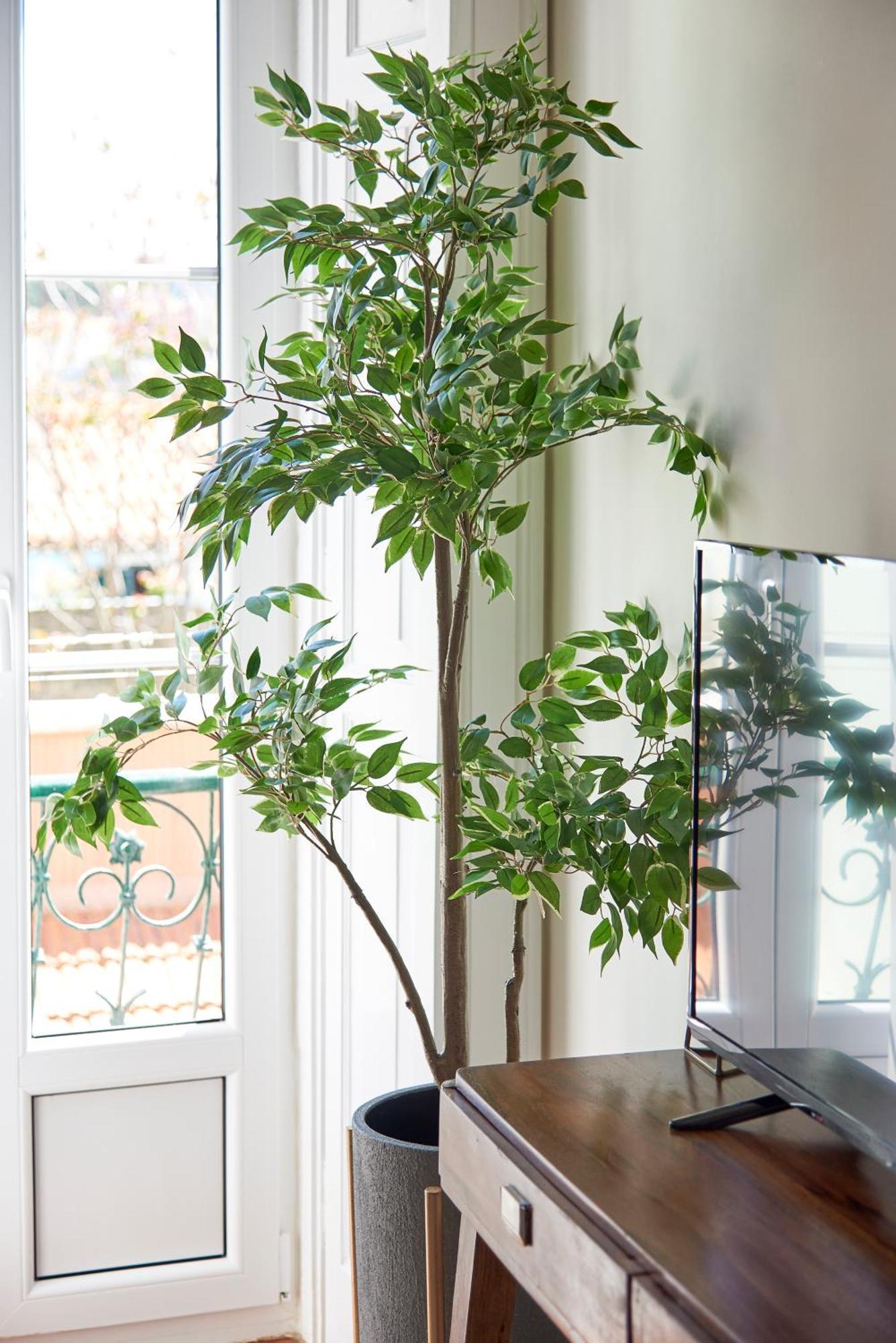 Apartment Elegant Santana Lisbon